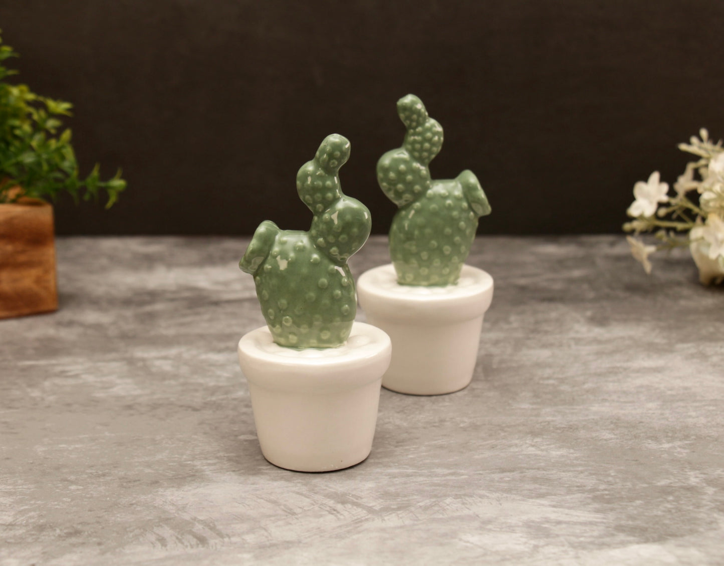'Jade' Mini Ceramic Cactus Plant Decor