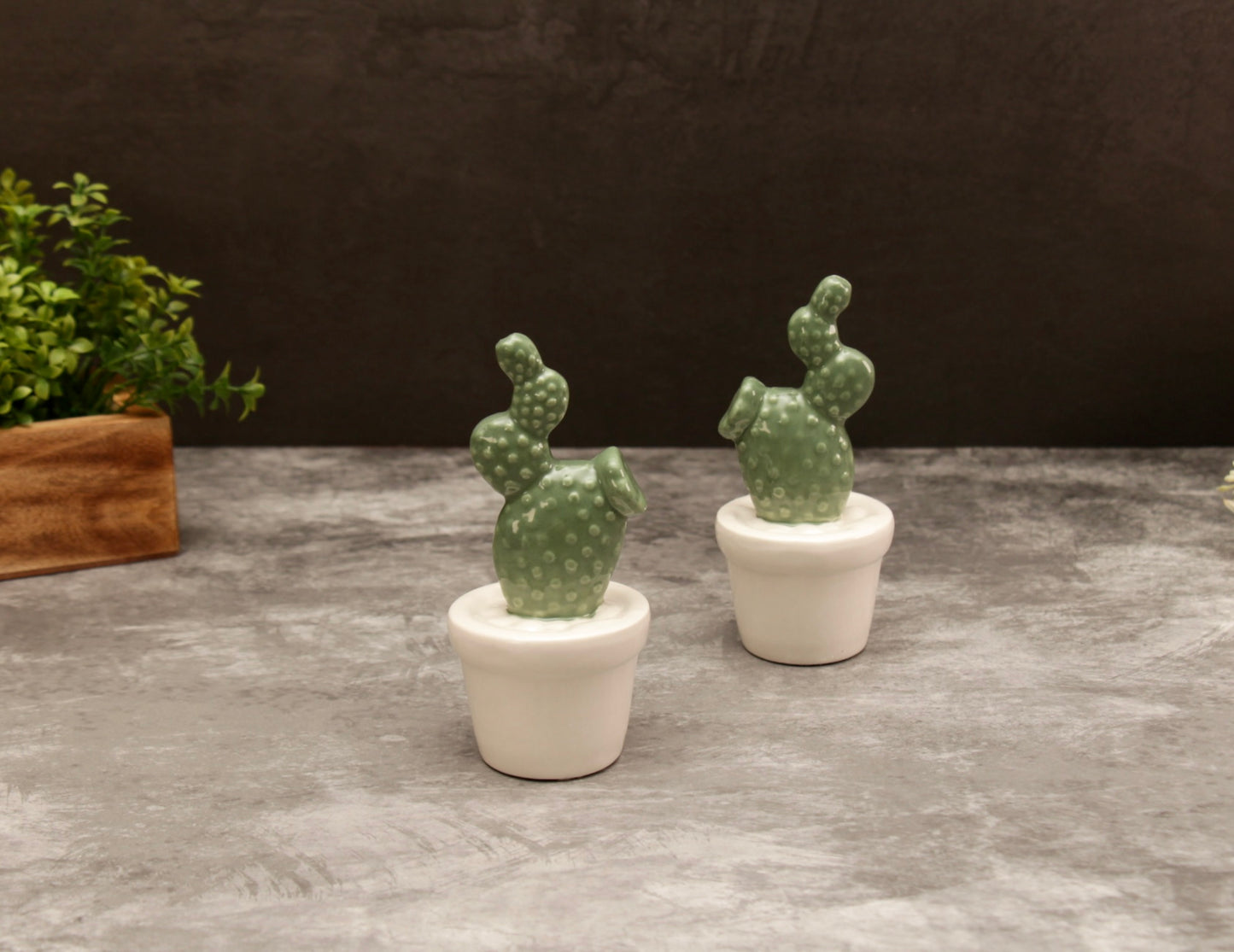 'Jade' Mini Ceramic Cactus Plant Decor
