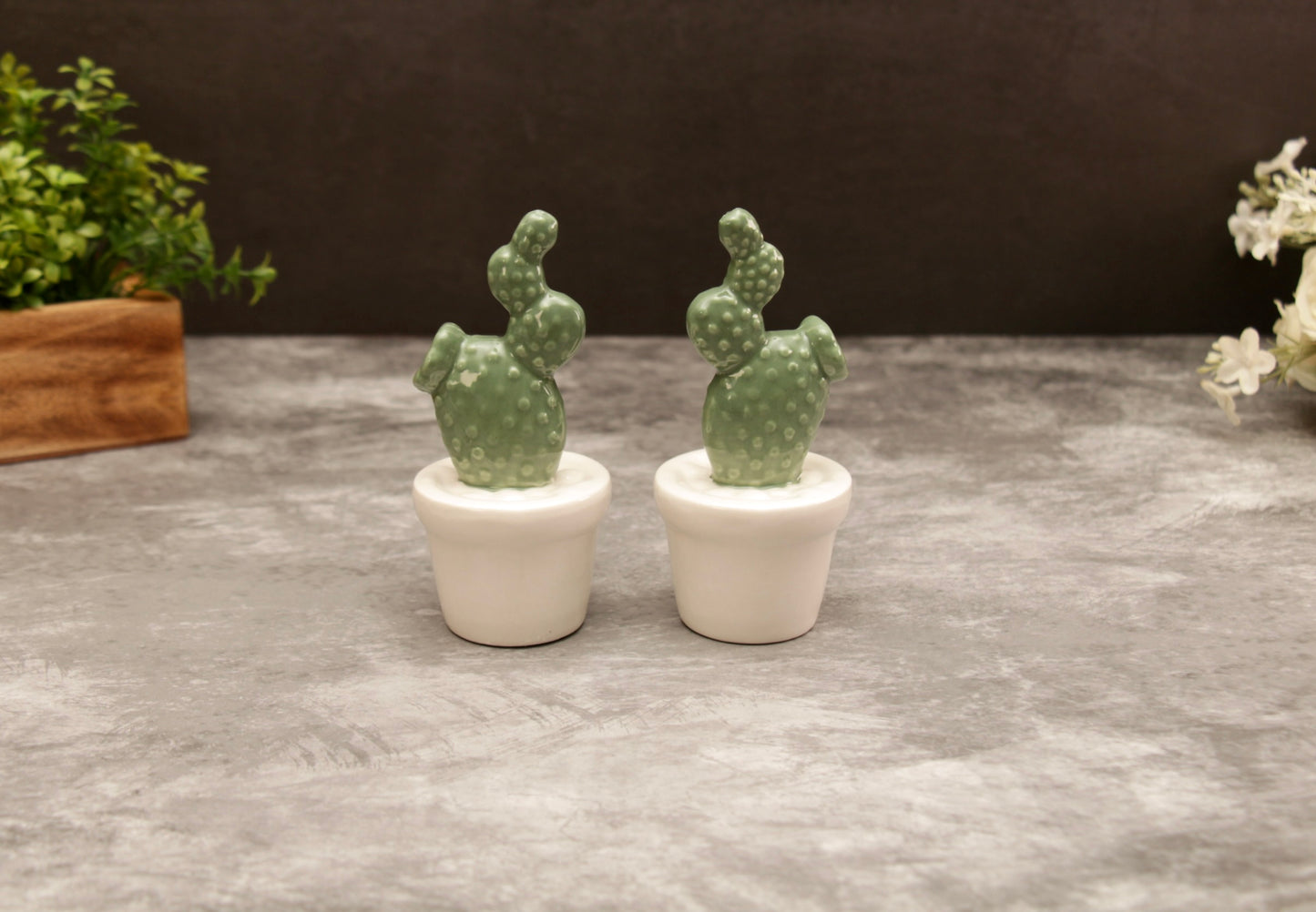 'Jade' Mini Ceramic Cactus Plant Decor