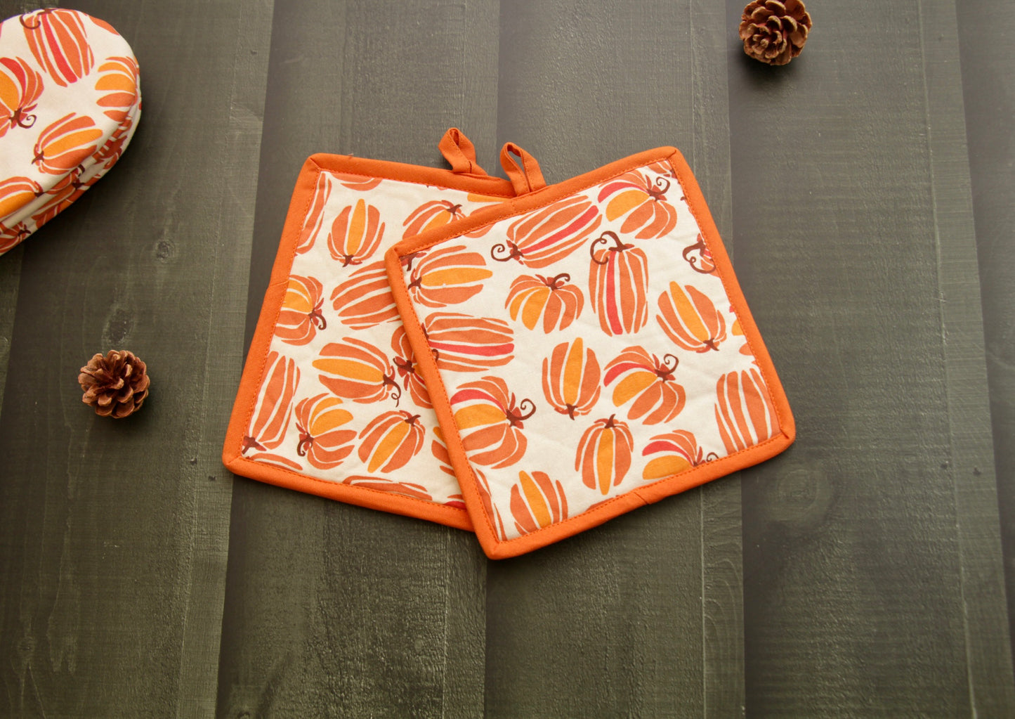 'Pumpkin' Pot Holder Set of 2