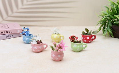 'Tiny Treasures' Mini Cup Fridge Magnets, Set of 3