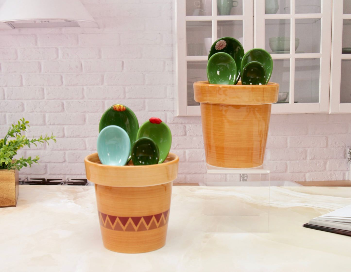'The Cactus Pot' Ceramic Measuring Spoons Set