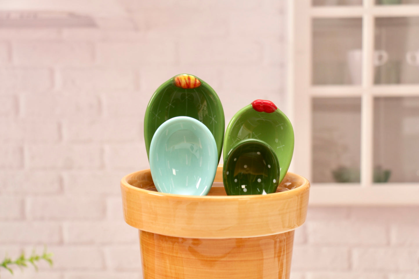 'The Cactus Pot' Ceramic Measuring Spoons Set