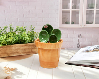 'The Desert Bloom' Ceramic Measuring Cup & Spoons Set