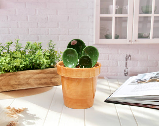 'The Desert Bloom' Ceramic Measuring Spoons Set