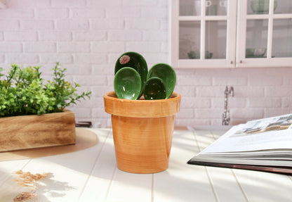 'The Desert Bloom' Ceramic Measuring Cup & Spoons Set