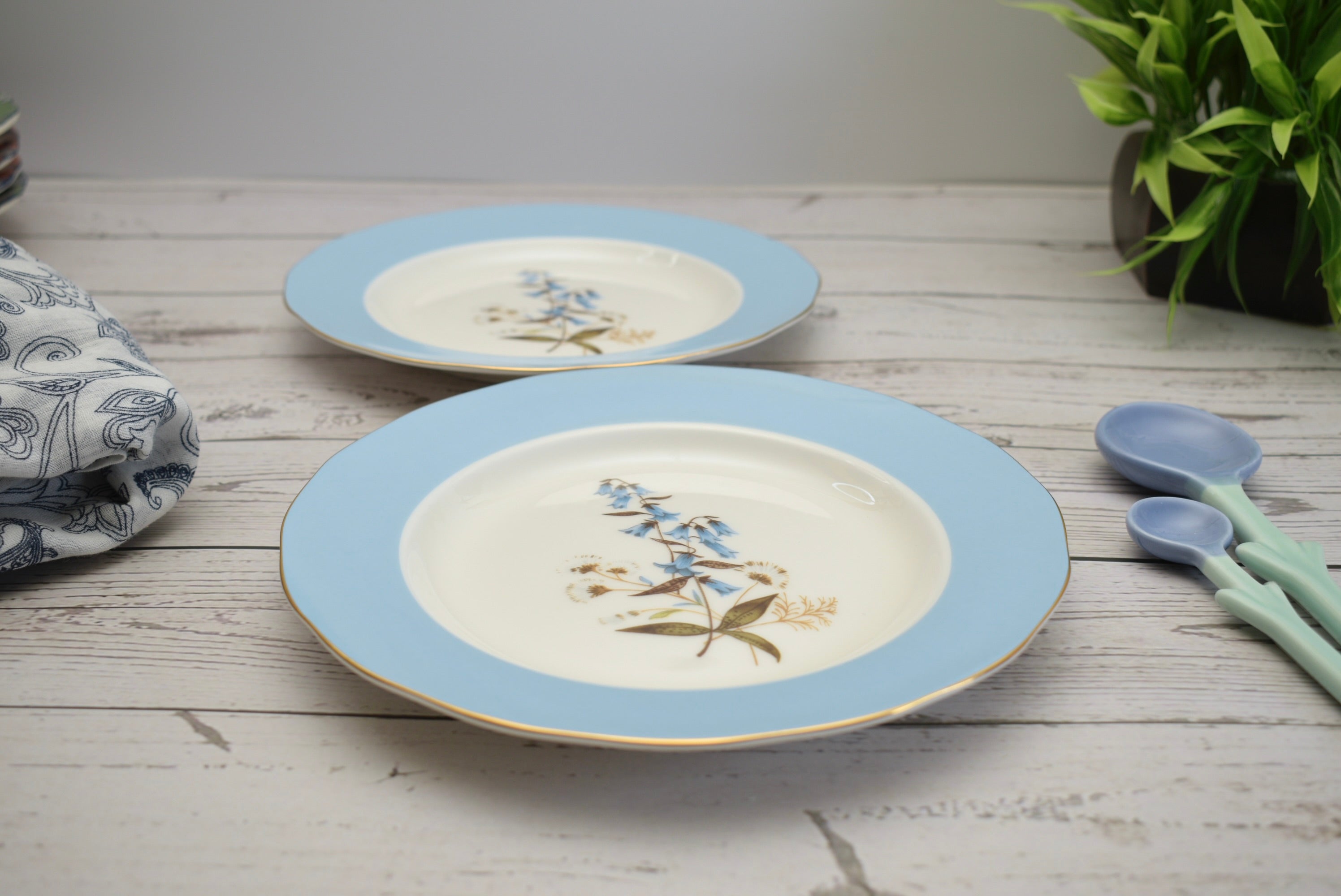 Bone china dessert plates sale